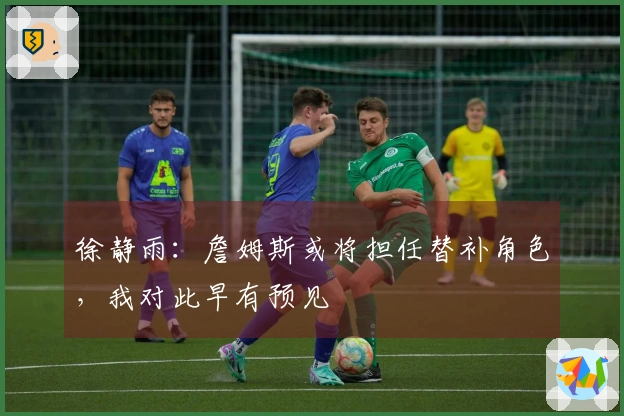 徐静雨：詹姆斯或将担任替补角色，我对此早有预见