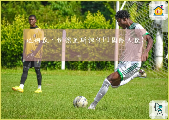 达姆森·伊德里斯担任F1国际大使！