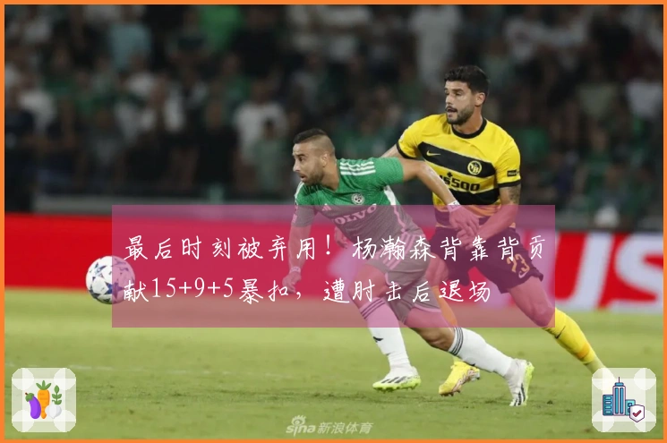 最后时刻被弃用！杨瀚森背靠背贡献15+9+5暴扣，遭肘击后退场