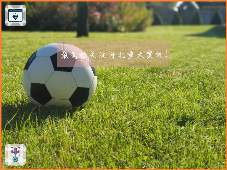 最高检关注河北重大案件！